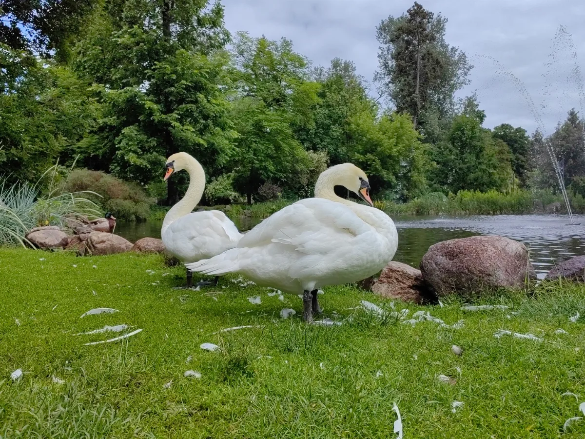 Za nami Spacer Fotograficzny – „Ciechocinek – Miasto Ogród”
